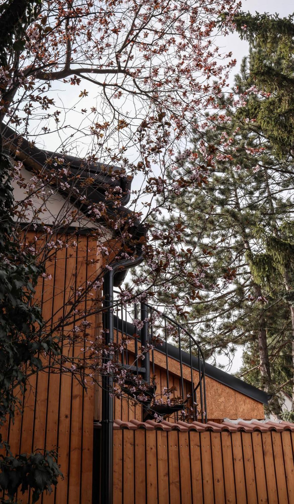 Golden Golem Hotel & Spa Прага Экстерьер фото